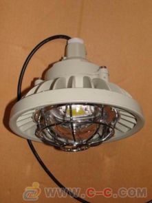 電廠防爆護(hù)欄燈 30wled防爆燈