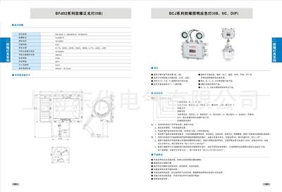 【防爆應(yīng)急照明燈200瓦、防爆雙頭應(yīng)急燈、防爆應(yīng)急燈】價格,廠家,圖片,防爆燈,上海東伐電氣-