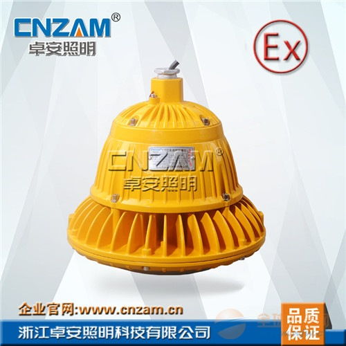led防爆燈免維護(hù)zbd104 100w大功率生產(chǎn)廠家批發(fā)
